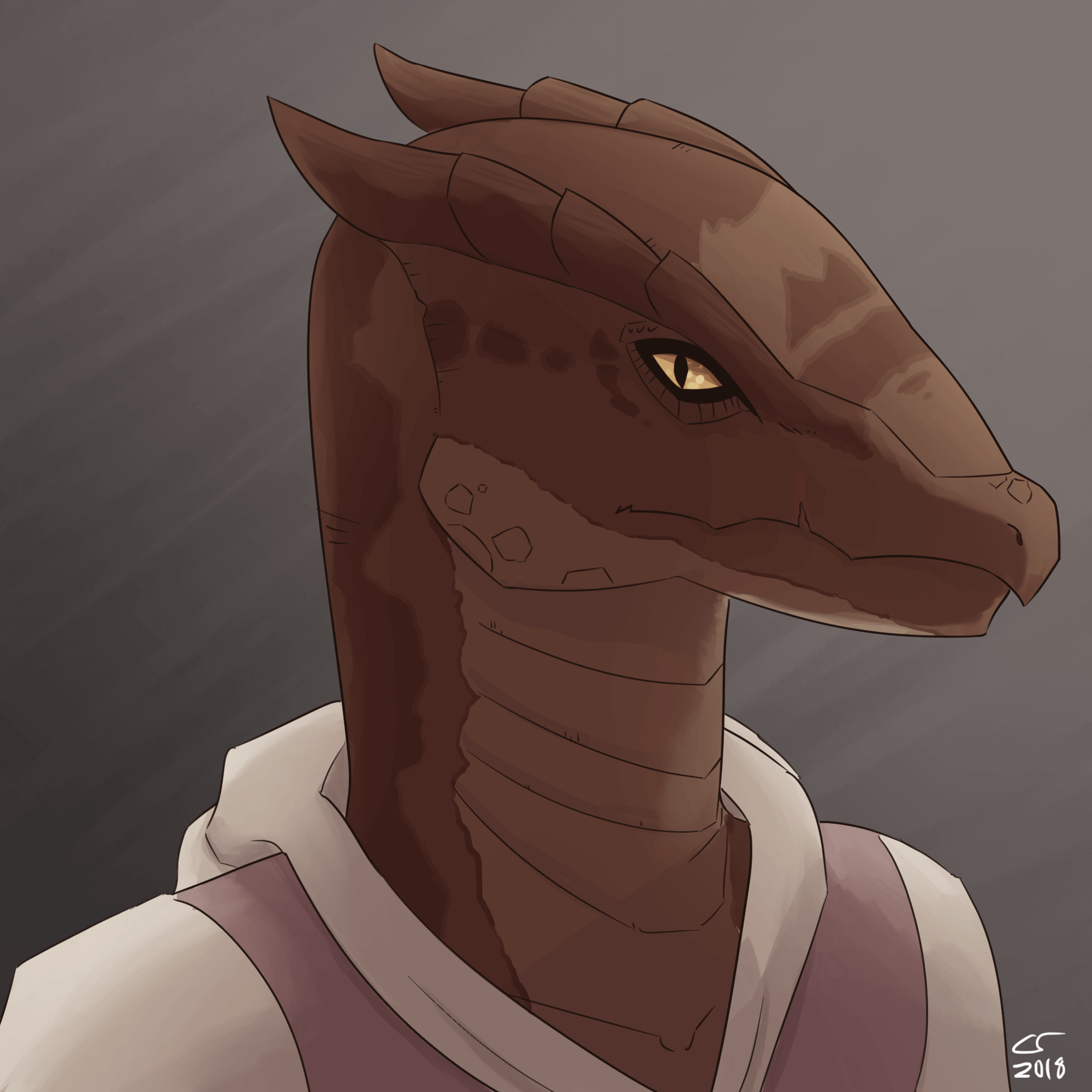 portrait of a serious-looking dragonborn in a cloak.